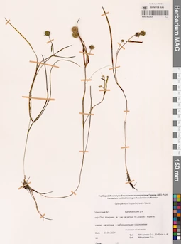 MAG 0022625