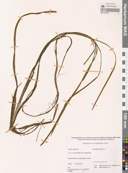 MAG 0022626