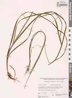 MAG 0022630