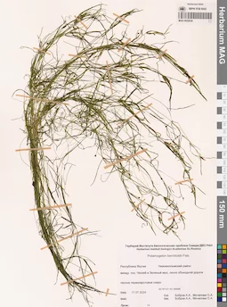MAG 0022634