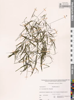 MAG 0022649