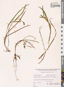 MAG 0022656