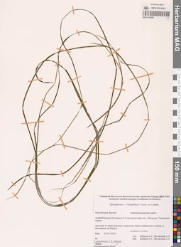 MAG 0022661
