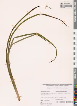 MAG 0022669