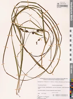 MAG 0022671