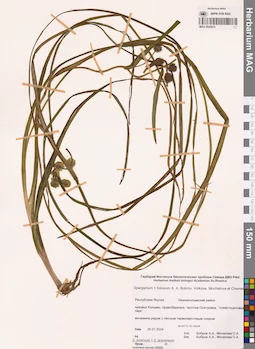 MAG 0022672