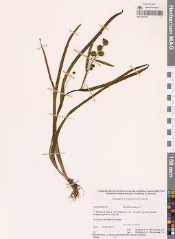 MAG 0022680