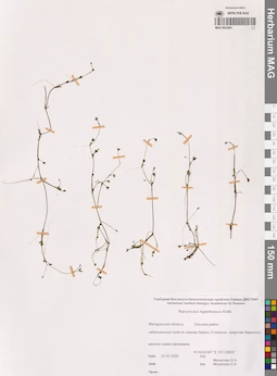 MAG 0022691