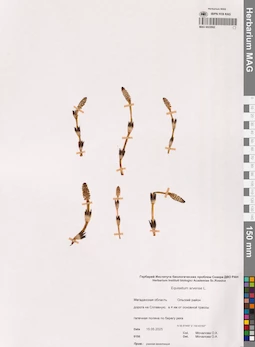 MAG 0022692