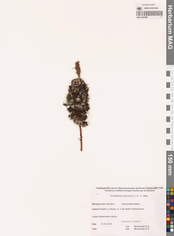 MAG 0022696