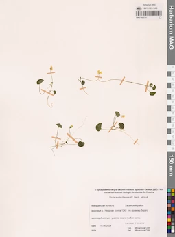 MAG 0022701