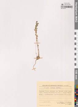 MAG 0022722
