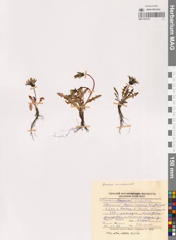 MAG 0022730