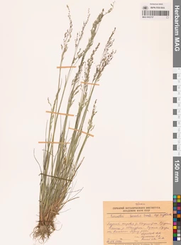MAG 0022737