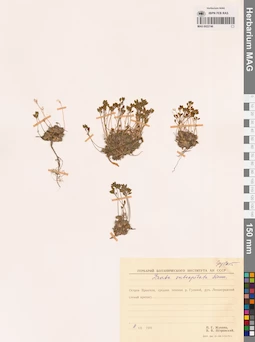 MAG 0022746