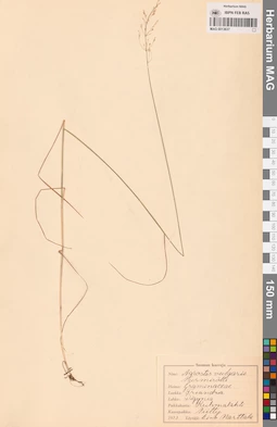 MAG 0013637