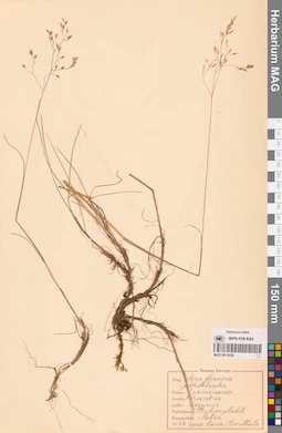 MAG 0013639
