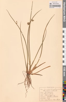 MAG 0013640