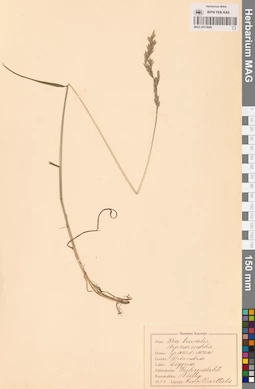 MAG 0013649