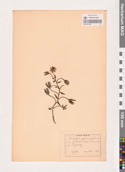 MAG 0013659