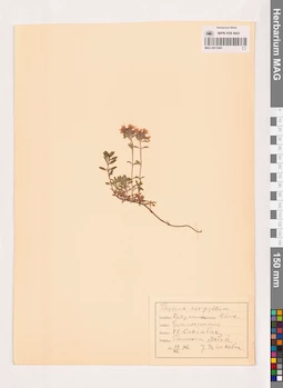 MAG 0013465