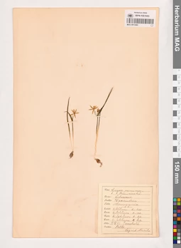 MAG 0013482