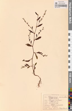 MAG 0013574
