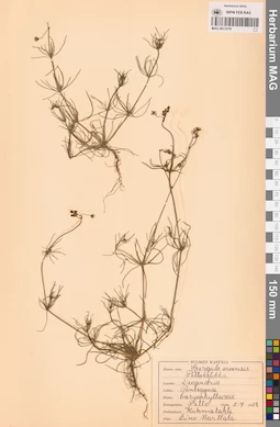MAG 0013579