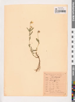 MAG 0013770