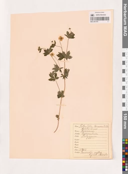 MAG 0013791