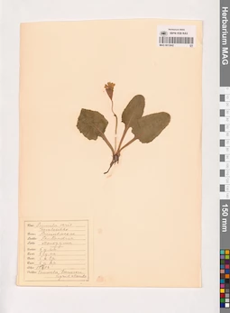 MAG 0013842