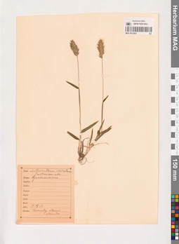MAG 0013843