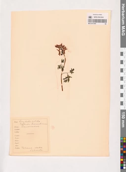 MAG 0013846