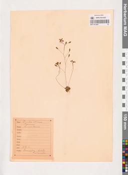 MAG 0013864