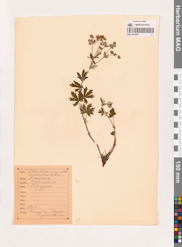 MAG 0013836