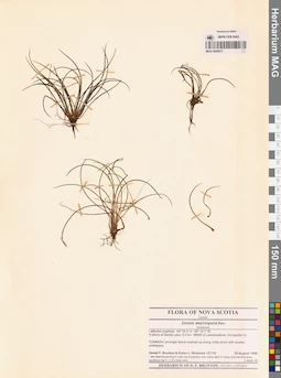 MAG 0005973