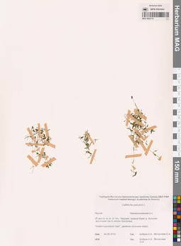 MAG 0002770