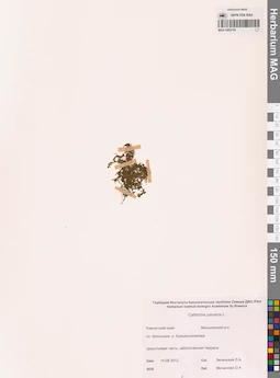 MAG 0002792