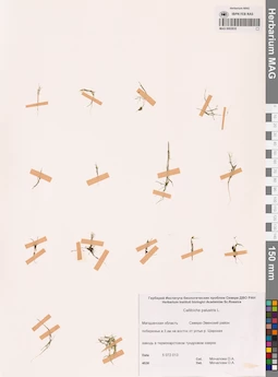 MAG 0002835