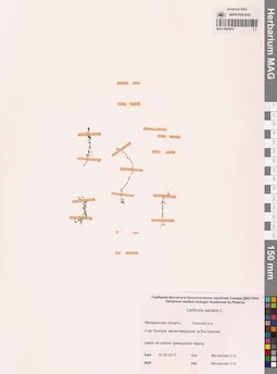 MAG 0002859