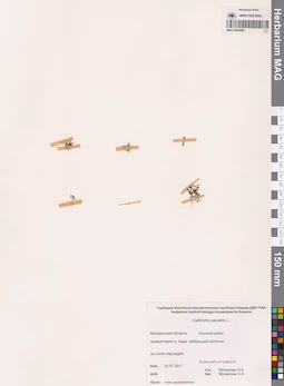 MAG 0002885