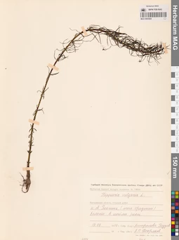 MAG 0003820