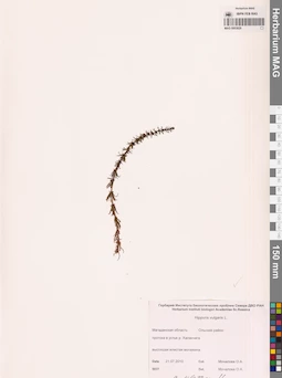 MAG 0003829