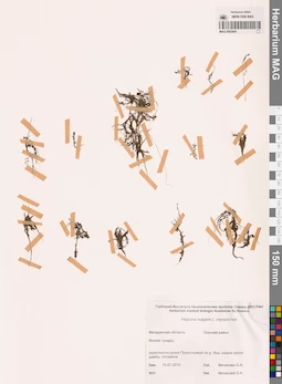 MAG 0003841
