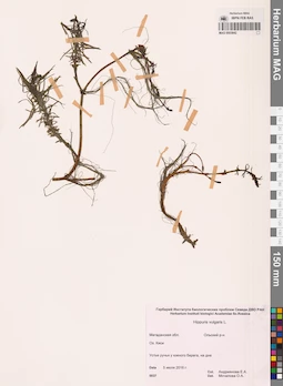MAG 0003842