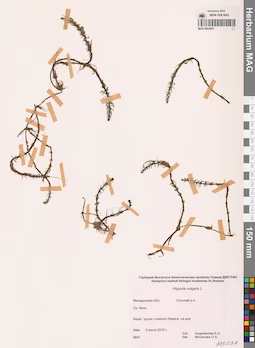 MAG 0003843
