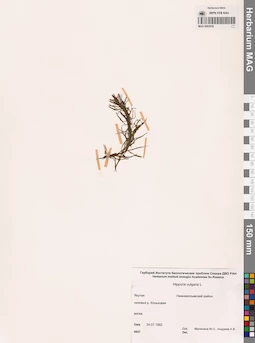 MAG 0003939