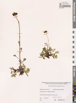MAG 0022888