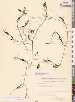 MAG 0009194