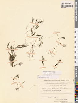 MAG 0009447